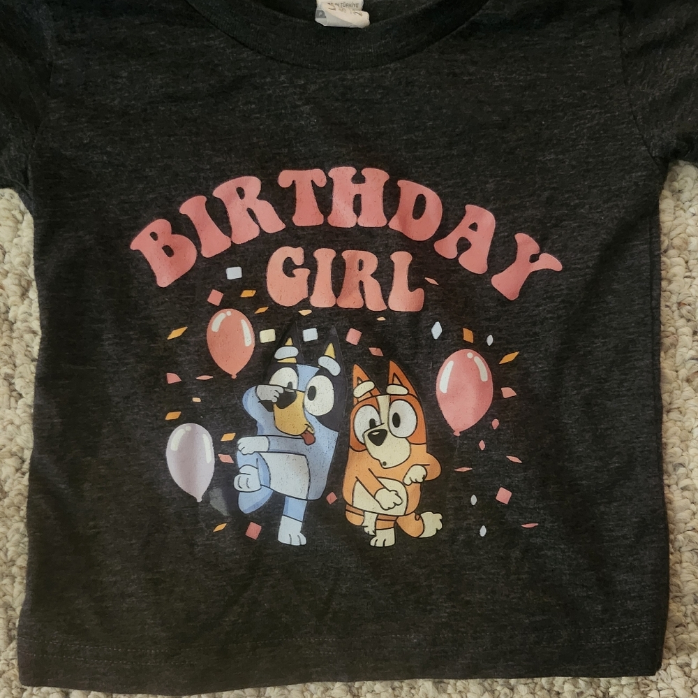 Bluey Birthday Girl 2t Tshirt